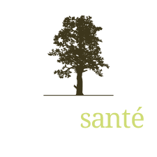 Votre artisan spécialisé dans l’arboriculture